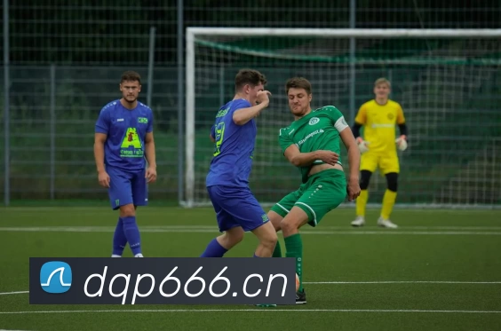 滚球官网appAPP 体育赛事宣传图